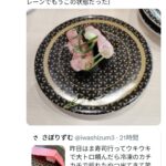 レス8番のサムネイル画像