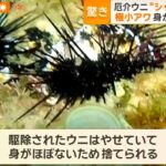 レス1番のサムネイル画像