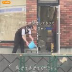 レス1番のサムネイル画像