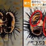 レス1番のサムネイル画像