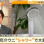 レス1番のサムネイル画像