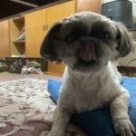 レス31番のサムネイル画像