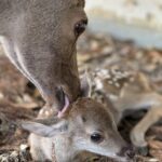 レス2番のサムネイル画像