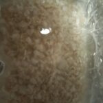 レス25番のサムネイル画像