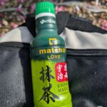 レス1番のサムネイル画像