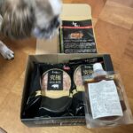 レス1番のサムネイル画像