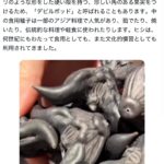 レス10番のサムネイル画像