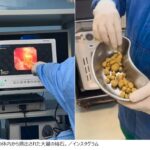 レス2番のサムネイル画像