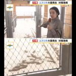 レス2番のサムネイル画像