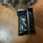 レス1番のサムネイル画像