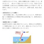 レス2番のサムネイル画像