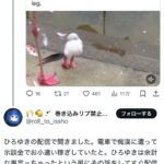 レス1番のサムネイル画像