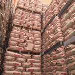 レス5番のサムネイル画像