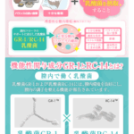 レス2番のサムネイル画像