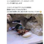 レス2番のサムネイル画像