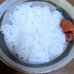 レス33番のサムネイル画像