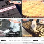 レス1番のサムネイル画像