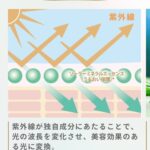 レス2番のサムネイル画像