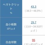 レス16番の画像1