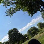 レス47番の画像1