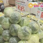 レス1番のリンク先のサムネイル画像