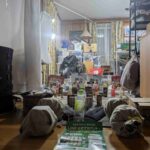 レス5番の画像12