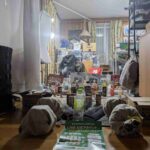 レス5番の画像11