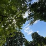 レス43番の画像2