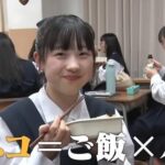 レス3番の画像3