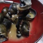 レス19番の画像1