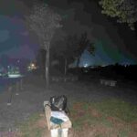 レス1番の画像2