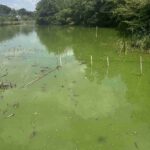 レス11番の画像1