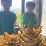 レス1番の画像1