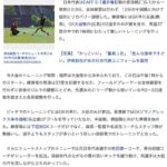 レス14番の画像1