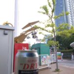 レス12番の画像1