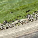 レス14番の画像1