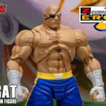 レス5番の画像6