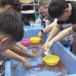 レス1番のリンク先のサムネイル画像