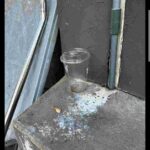 レス3番の画像4