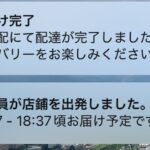 レス33番の画像1