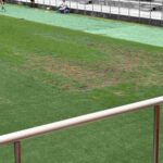 レス1番の画像5