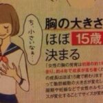 レス28番の画像3