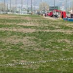 レス6番の画像1