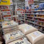 レス47番の画像1