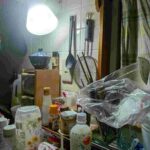 レス2番の画像47