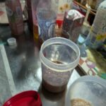 レス2番の画像42