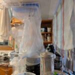 レス4番の画像24