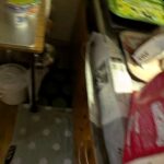 レス2番の画像13