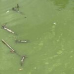 レス4番の画像1