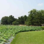 レス12番の画像1